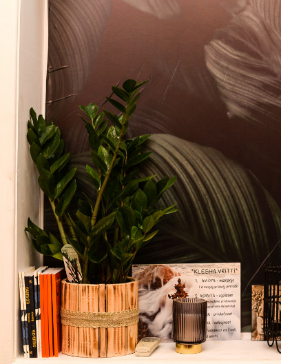 Nas-joga-studio-biljke